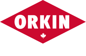 logo Orkin Canada