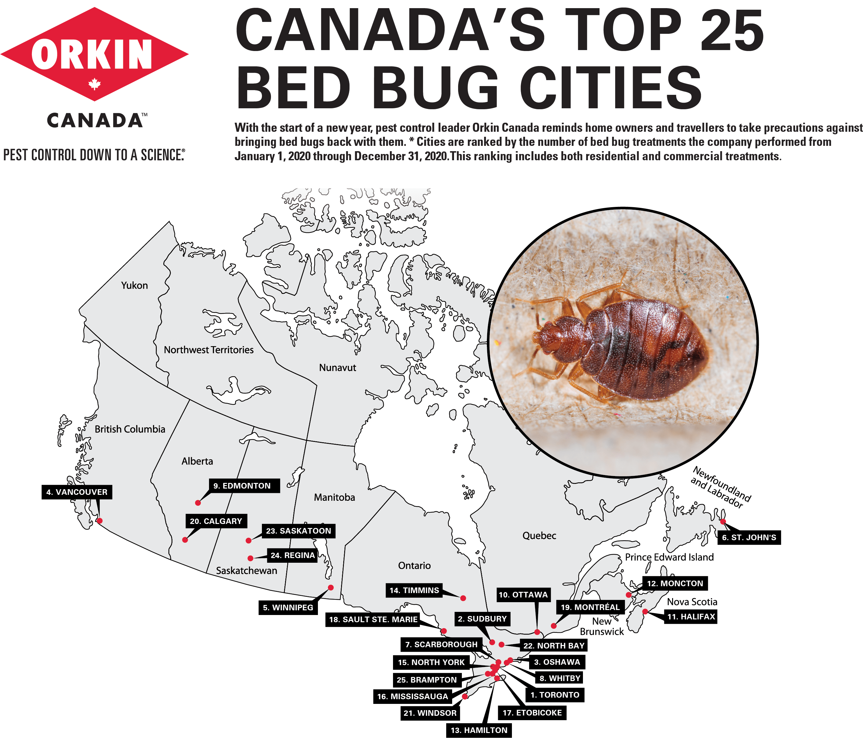 Canada's Top 25 Bed Buggiest Cities Graphic