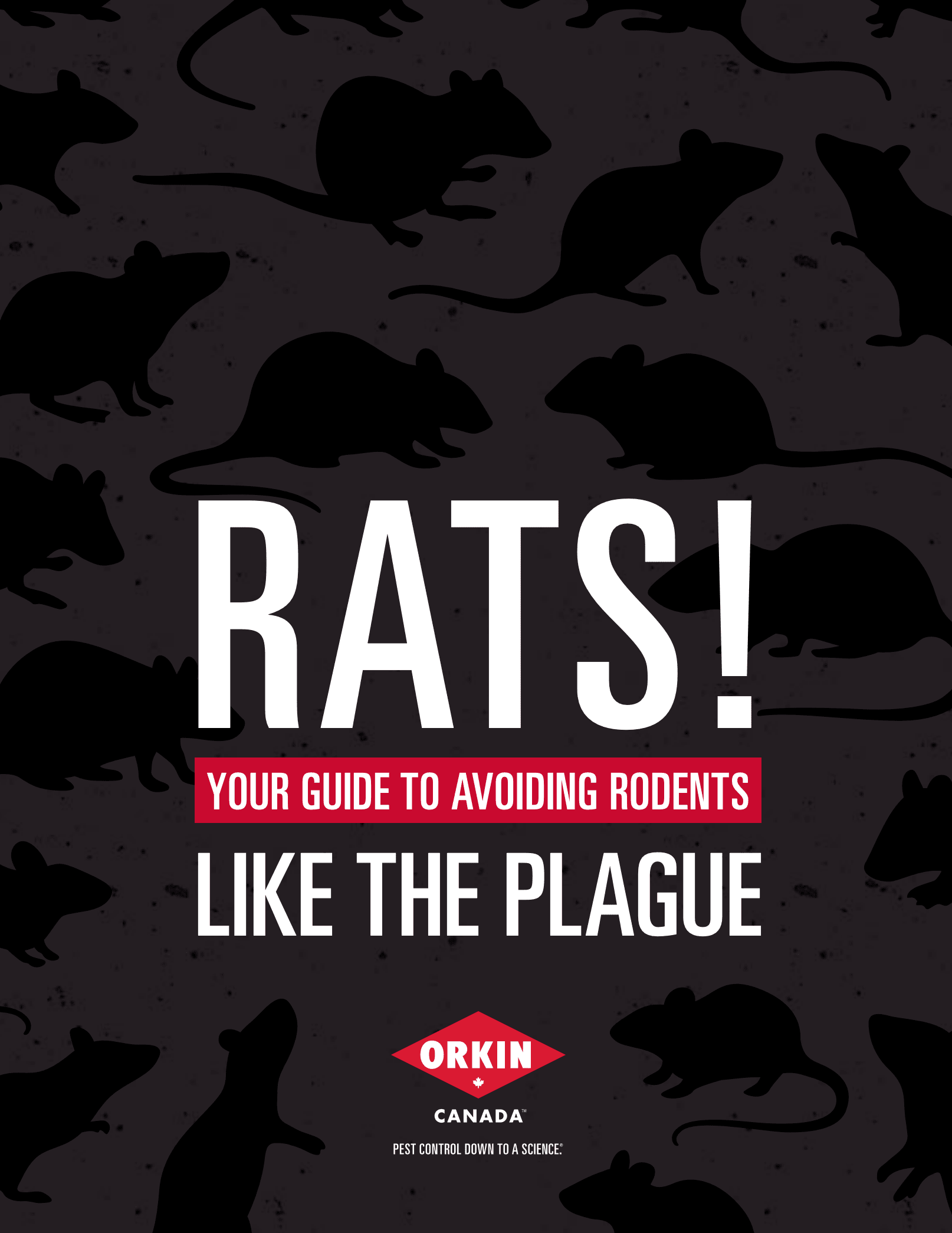 Guide to Rats and Other Rodents