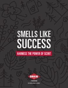Guide to understanding the power of scents