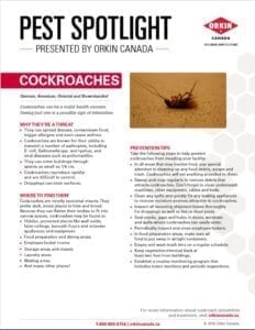 Understanding and preventing cockroaches tip sheet