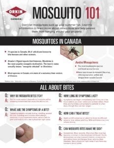Mosquito 101