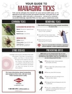 Guide to Managing Ticks