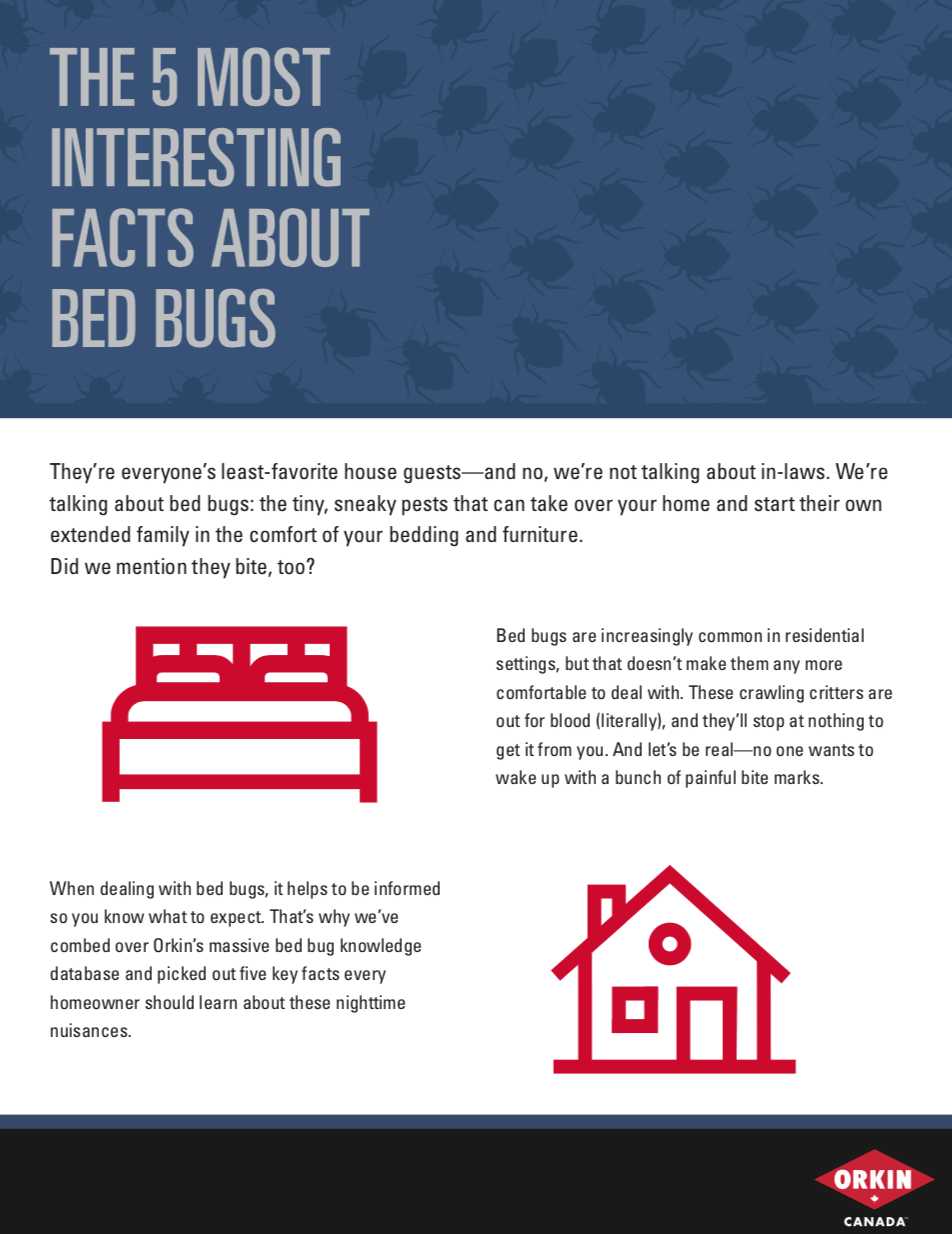 Tip sheet for 5 bed bug facts