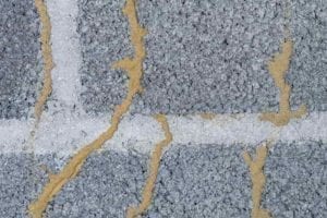 termites dans une surface en briques