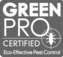Green Pro Icon