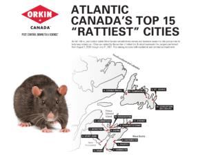 Top 15 Rattiest ATLANTIC CANADA cities 2021