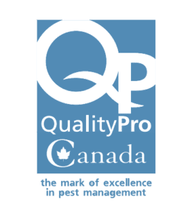 Acreditation Quality Pro