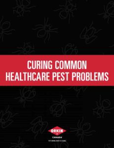Curing Common Pest Problems_Healthcare