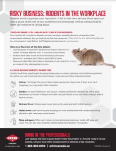 Commercial Rodent Health and Safety Risks Guide