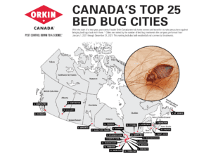 Bed Buggiest Cities 2021
