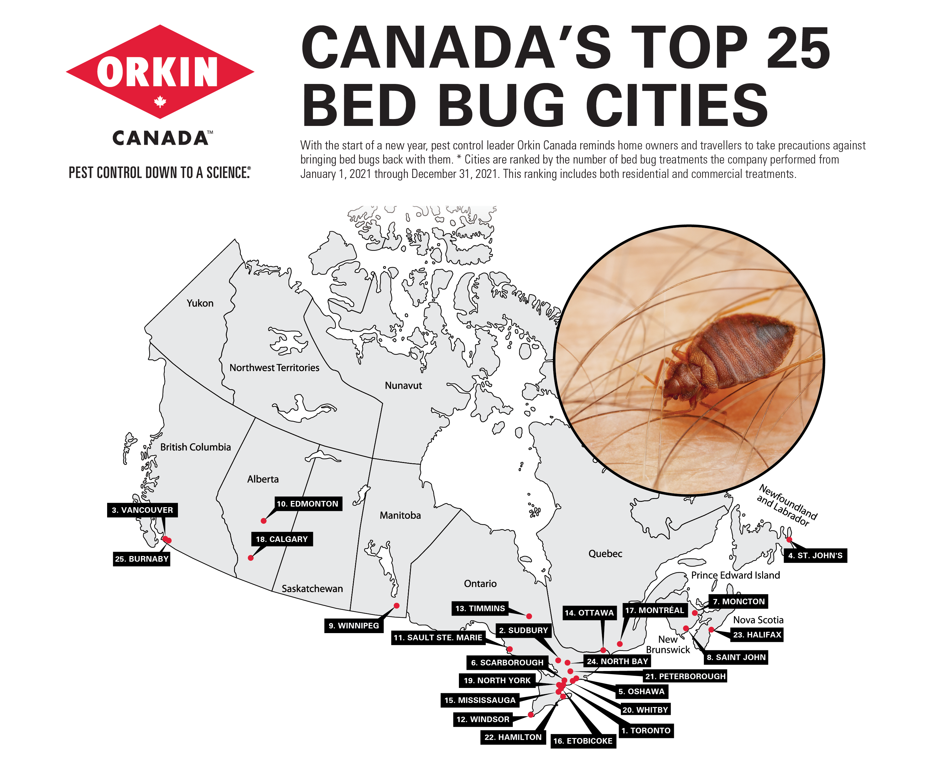 Insect Leggings -  Canada