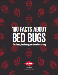 100 Facts about Bed Bugs-min
