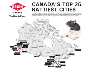 Rattiest Cities Canada 2023