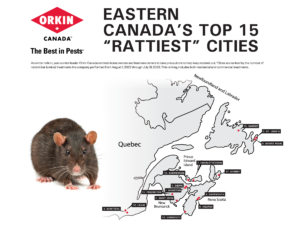 Rattiest Cities Eastern Canada 2023