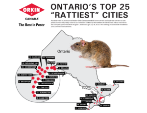 Rattiest ONTARIO cities 2023