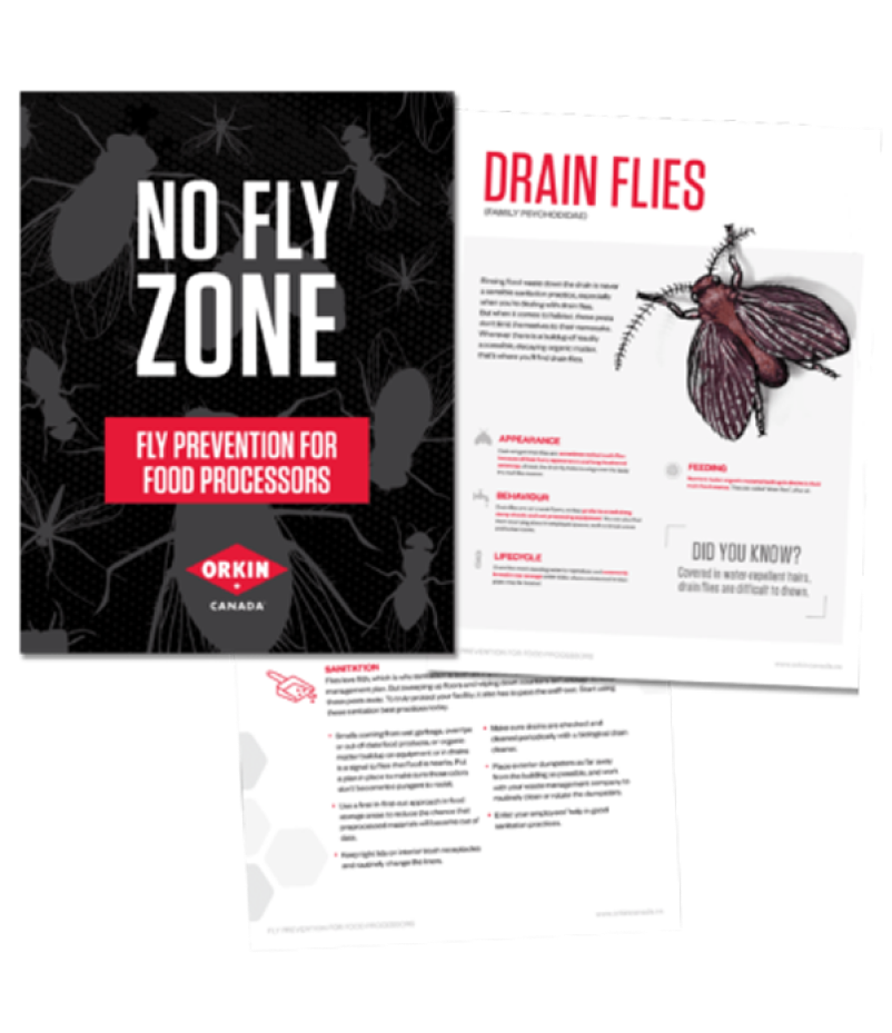 No Fly Zone Book
