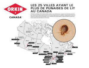 Orkin Canada Villes les plus infestées de punaises de lit 2023